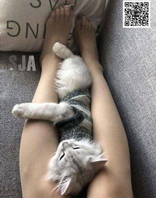 漂亮的女邻居4伦理