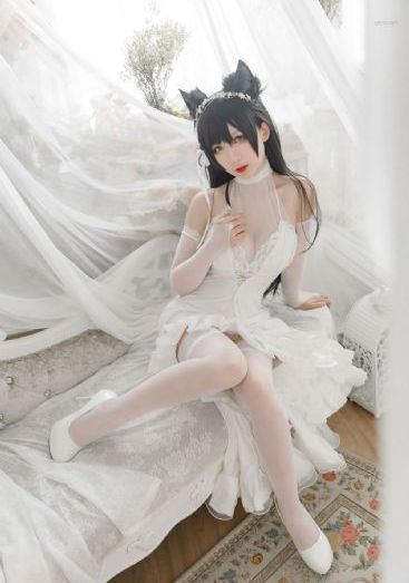 半月转电视剧全集免费观看
